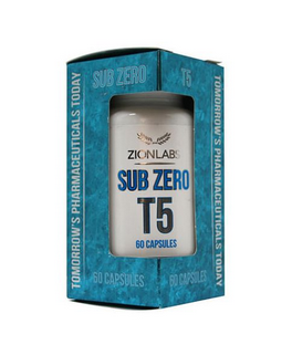 Zionlabs T5